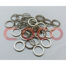 Ring Neodymium Permanent Magnet